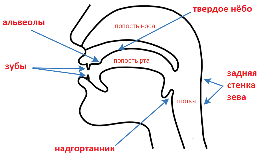 Расстояние до ударной стенки зева